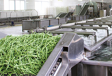 Ligne de transformation des fruits & légumes